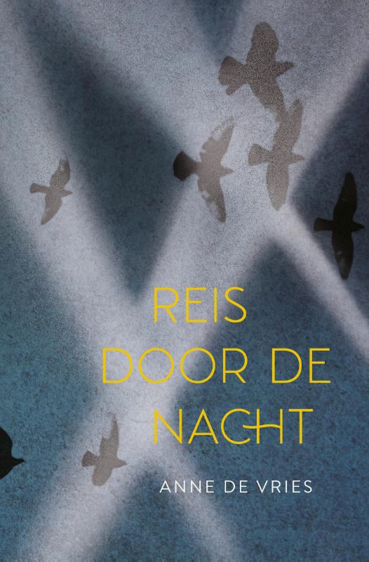 Productafbeelding: voorkant van Reis door de nacht