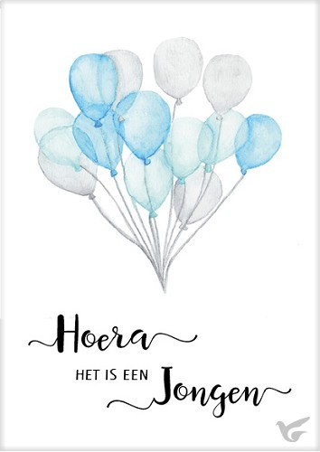 Productafbeelding: voorkant van Kaart hoera het is een jongen