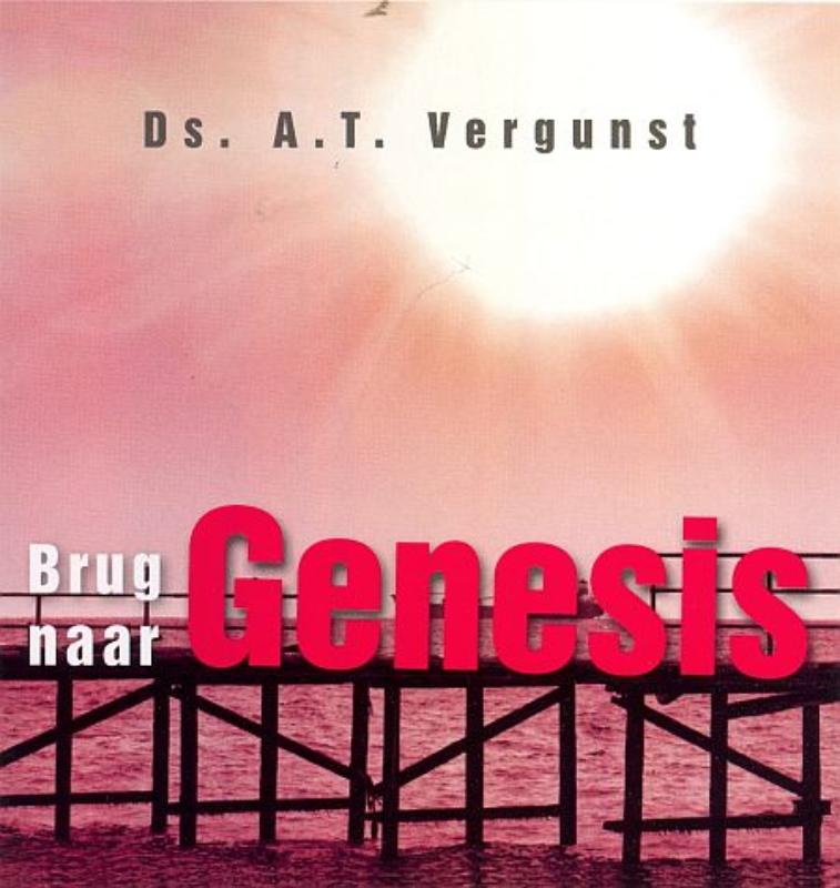 Productafbeelding: voorkant van Brug naar Genesis