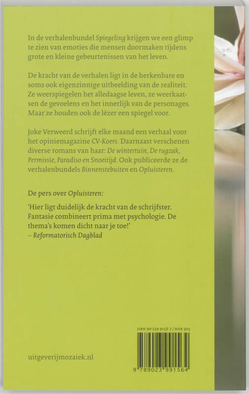 Productafbeelding: achterkant van Spiegeling
