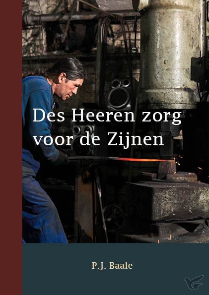 Productafbeelding: voorkant van Des Heeren zorg voor de Zijnen