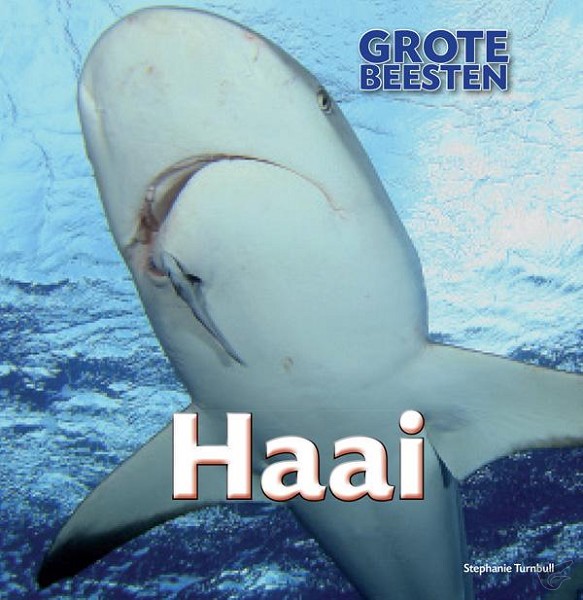 Productafbeelding: voorkant van Haai