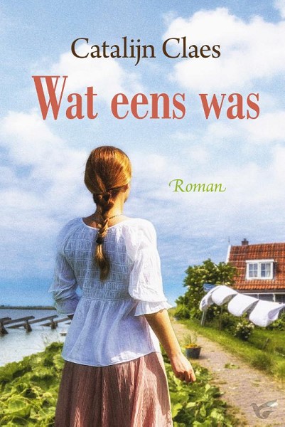 Productafbeelding: voorkant van Wat eens was