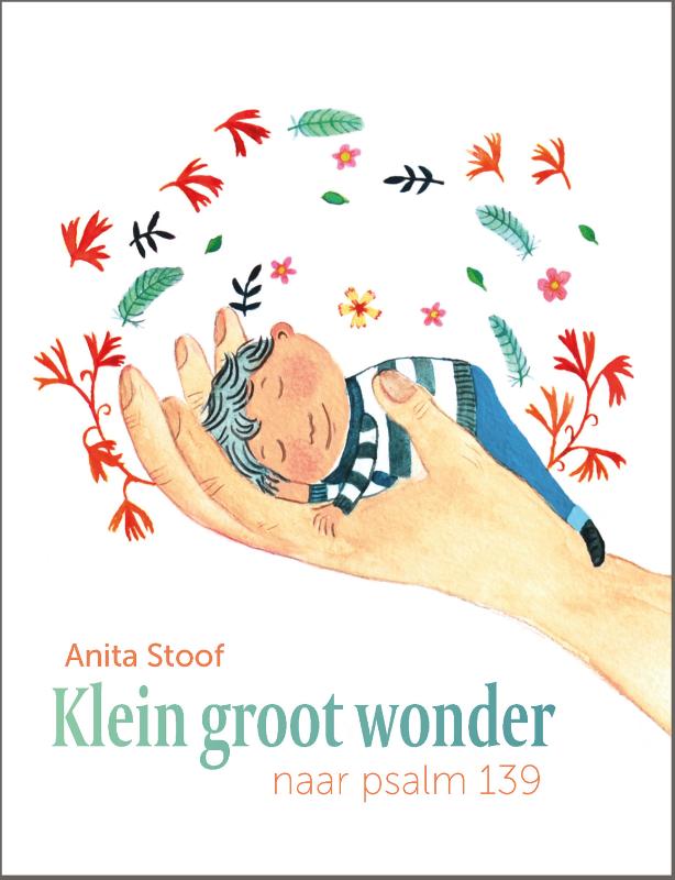 Productafbeelding: voorkant van Klein groot wonder