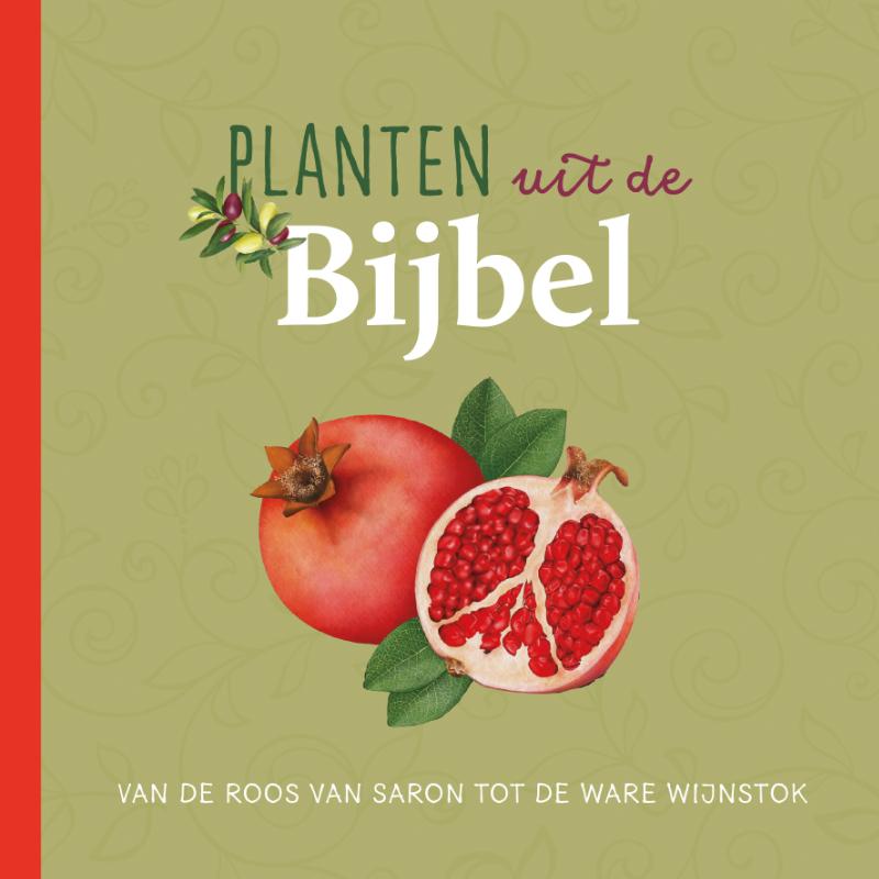 Productafbeelding: voorkant van Planten uit de Bijbel