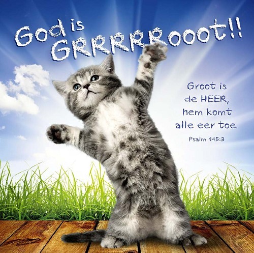 Productafbeelding: voorkant van Kaart m env God is groot