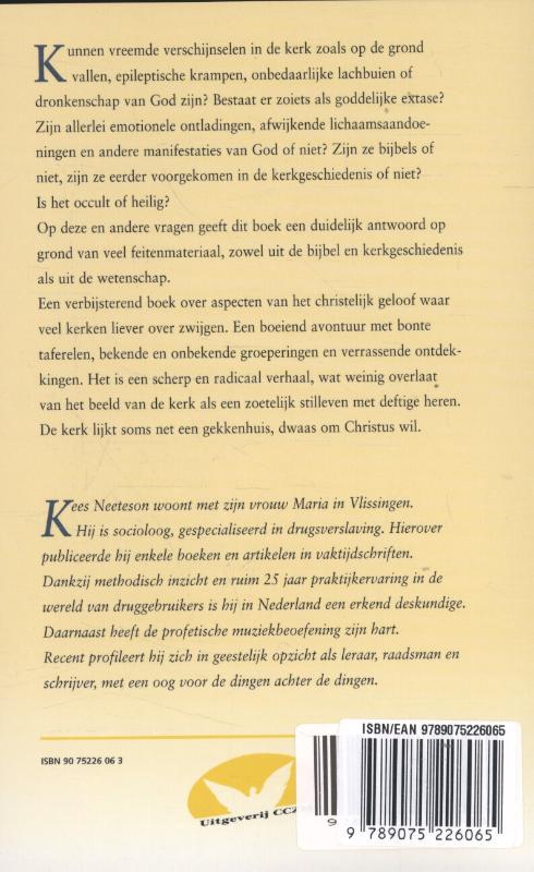 Productafbeelding: achterkant van Geestvervoering en zinsverrukking