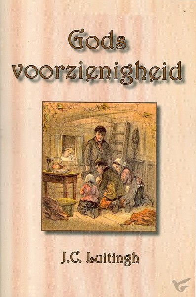 Productafbeelding: voorkant van Gods voorzienigheid