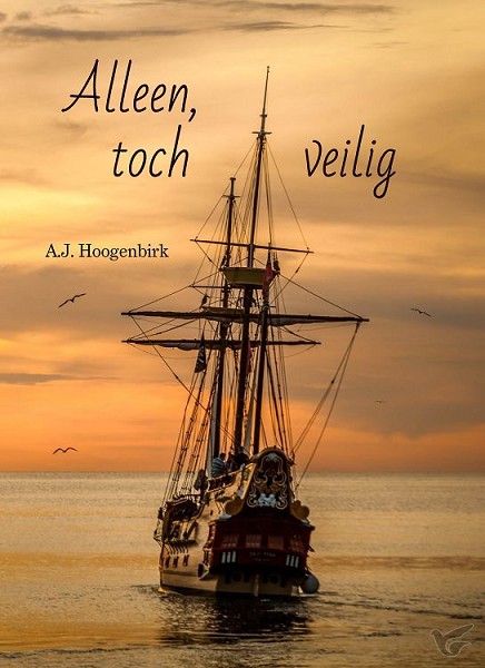 Productafbeelding: voorkant van Alleen toch veilig