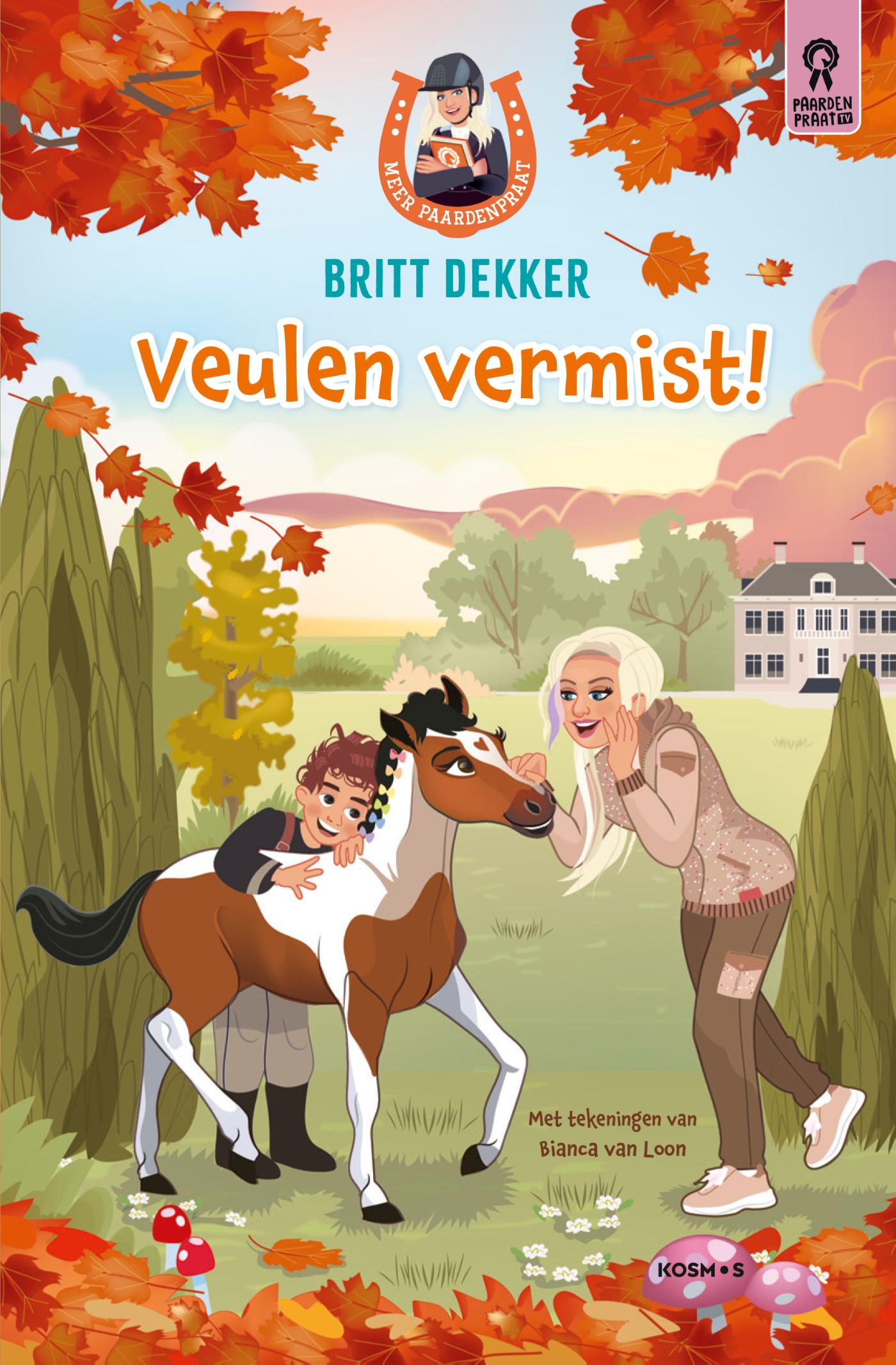 Productafbeelding: voorkant van Veulen vermist!