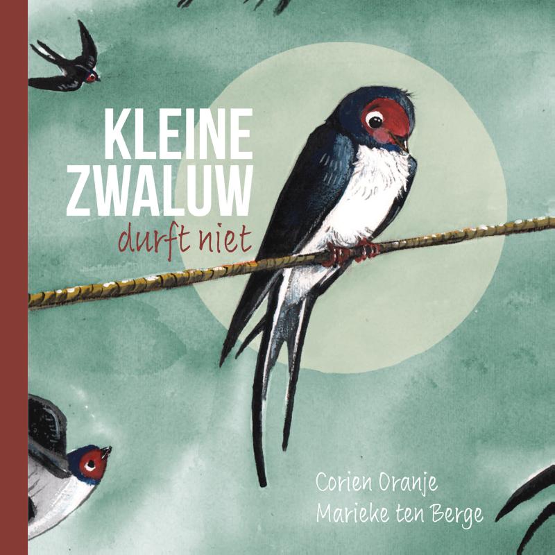 Productafbeelding: voorkant van Kleine zwaluw durft niet