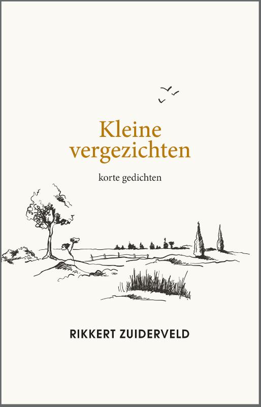 Productafbeelding: voorkant van Kleine vergezichten