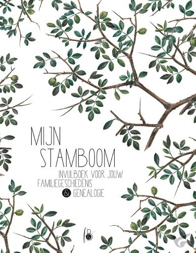 Productafbeelding: voorkant van Mijn stamboom