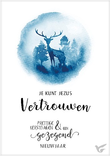 Productafbeelding: voorkant van Kerstkaart je kunt Jezus vertrouwen