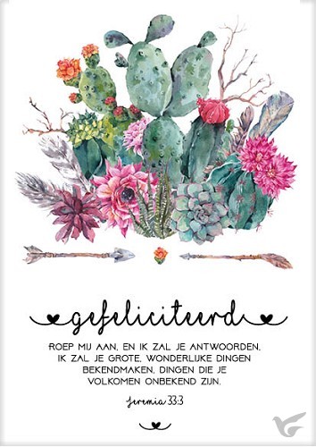 Productafbeelding: voorkant van Kaart gefeliciteerd jer 33:3
