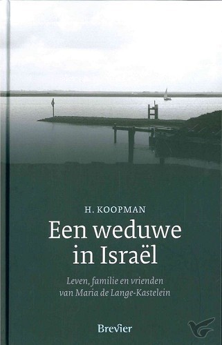 Productafbeelding: voorkant van Weduwe in israel