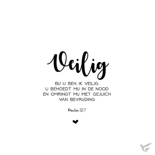 Productafbeelding: voorkant van Kaart veilig