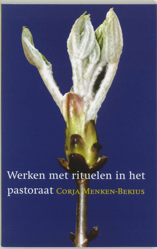 Productafbeelding: voorkant van Werken met rituelen in het pastoraat