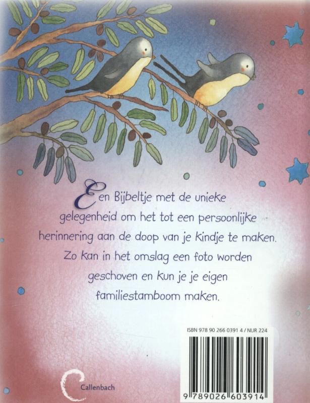 Productafbeelding: achterkant van Je eigen doopbijbel (blauwe ed)