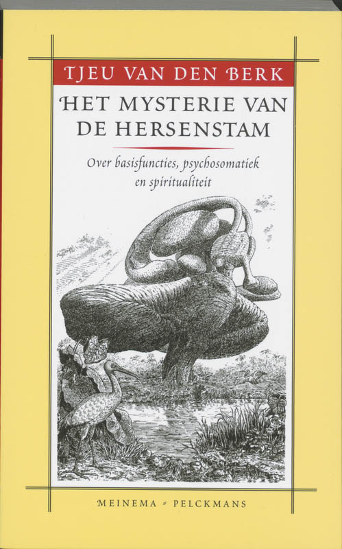 Productafbeelding: voorkant van Het mysterie van de hersenstam