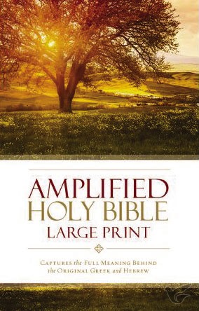 Productafbeelding: voorkant van Amplified Bible