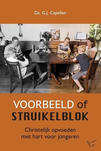 Productafbeelding: voorkant van Voorbeeld of struikelblok