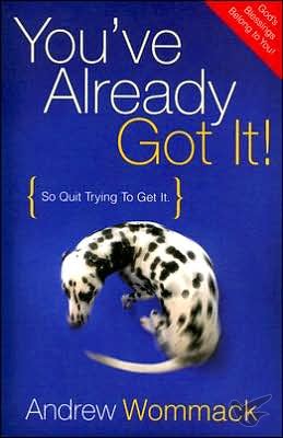Productafbeelding: voorkant van You've Already Got it!