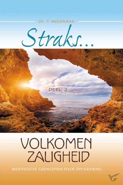 Productafbeelding: voorkant van Straks volkomen zaligheid 2