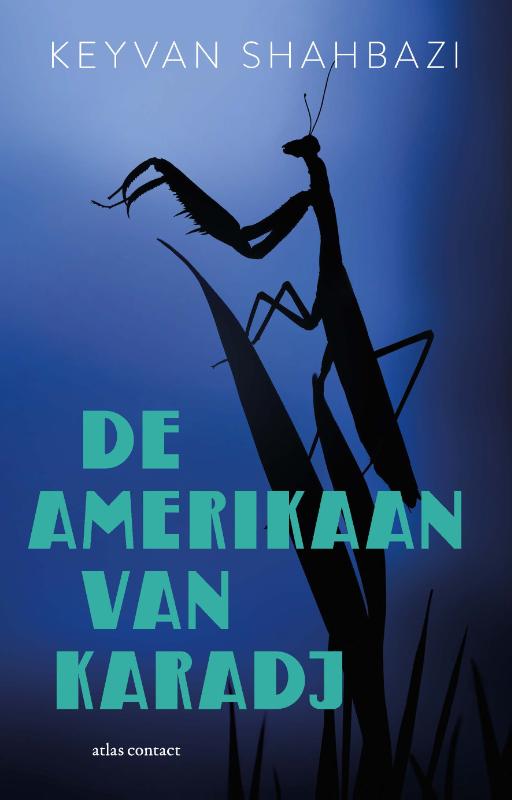 Productafbeelding: voorkant van De Amerikaan van Karadj