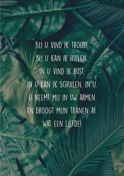 Productafbeelding: voorkant van Wenskaart Bij U vind ik troost
