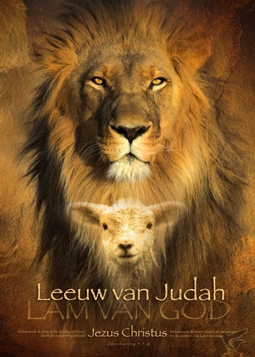 Productafbeelding: voorkant van Poster 50x70 leeuw van judah