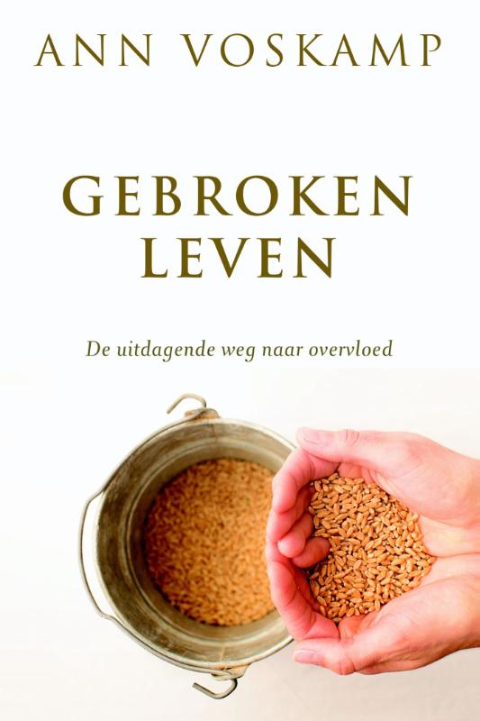 Productafbeelding: voorkant van Gebroken leven