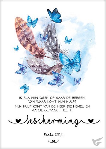 Productafbeelding: voorkant van Kaart bescherming
