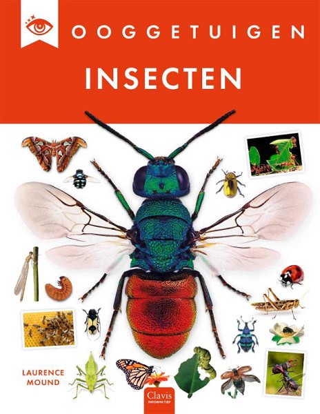 Productafbeelding: voorkant van Insecten
