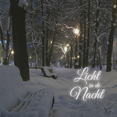 Productafbeelding: voorkant van Kerstkaart licht in de nacht