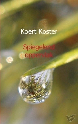 Productafbeelding: voorkant van Spiegelend oppervlak