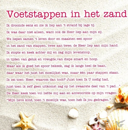 Productafbeelding: voorkant van Kaart voetstappen