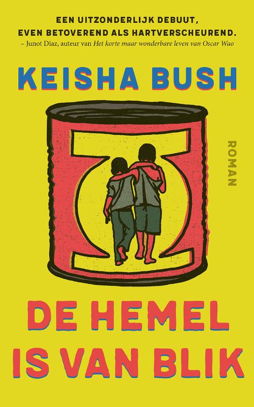 Productafbeelding: voorkant van De hemel is van blik