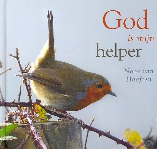 Productafbeelding: voorkant van God is mijn helper