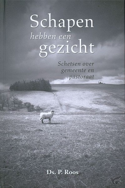 Productafbeelding: voorkant van Schapen hebben een gezicht