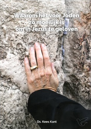 Productafbeelding: voorkant van Waarom het voor joden zo moeilijk is