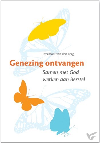Productafbeelding: voorkant van Genezing ontvangen