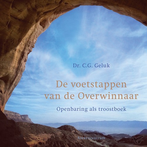 Productafbeelding: voorkant van Voetstappen van de overwinnaar