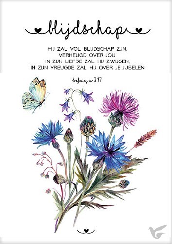 Productafbeelding: voorkant van Kaart blijdschap