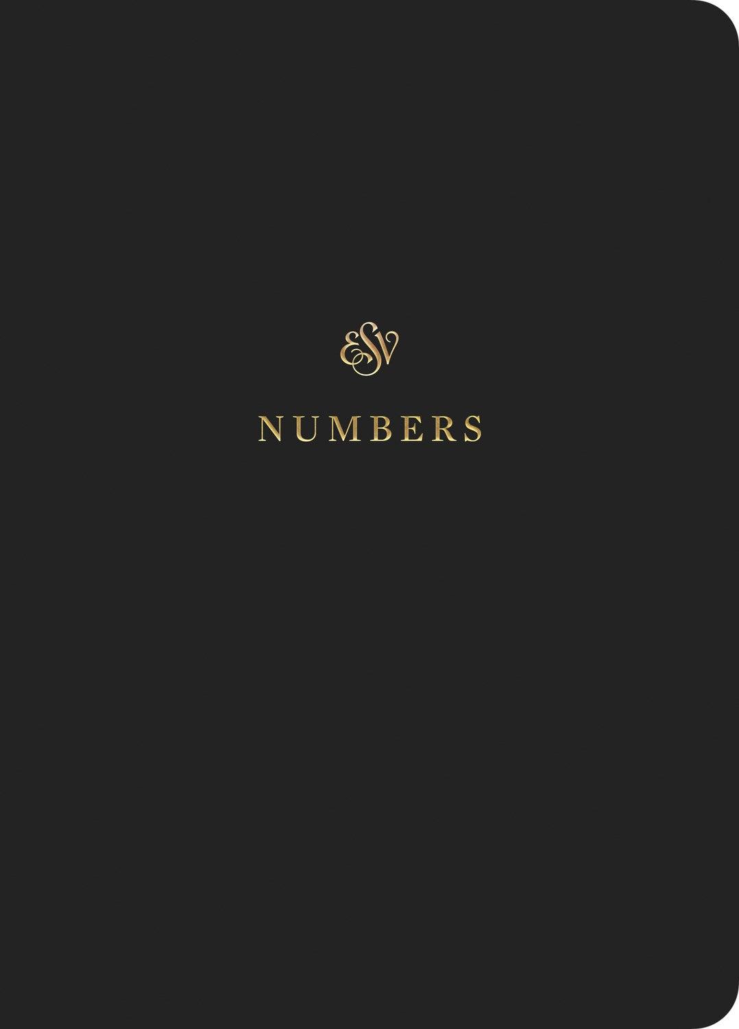 Productafbeelding: voorkant van ESV Scripture Journal: Numbers-Black Softcover