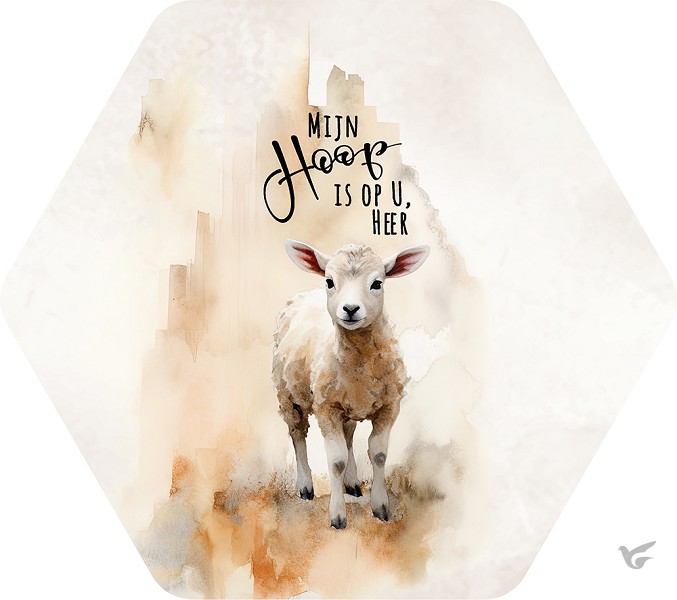 Productafbeelding: voorkant van Mijn hoop is op U Heer medium