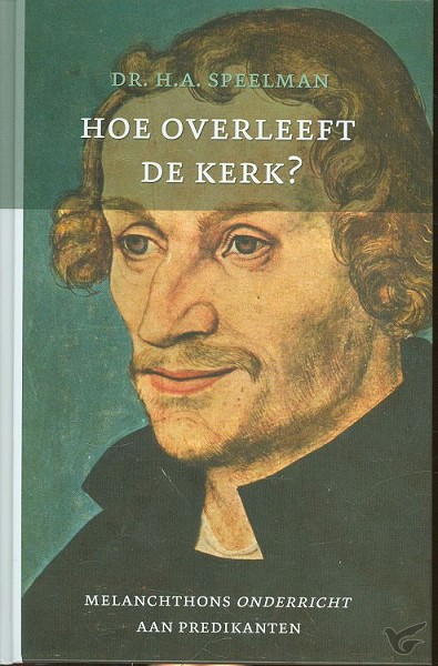 Productafbeelding: voorkant van Hoe overleeft de kerk