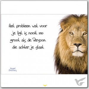 Productafbeelding: voorkant van Prentbriefkaart het probleem dat voor je