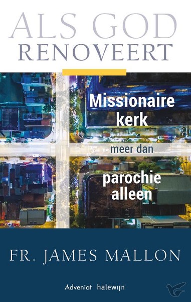 Productafbeelding: voorkant van Als God renoveert gaat verder dan de par