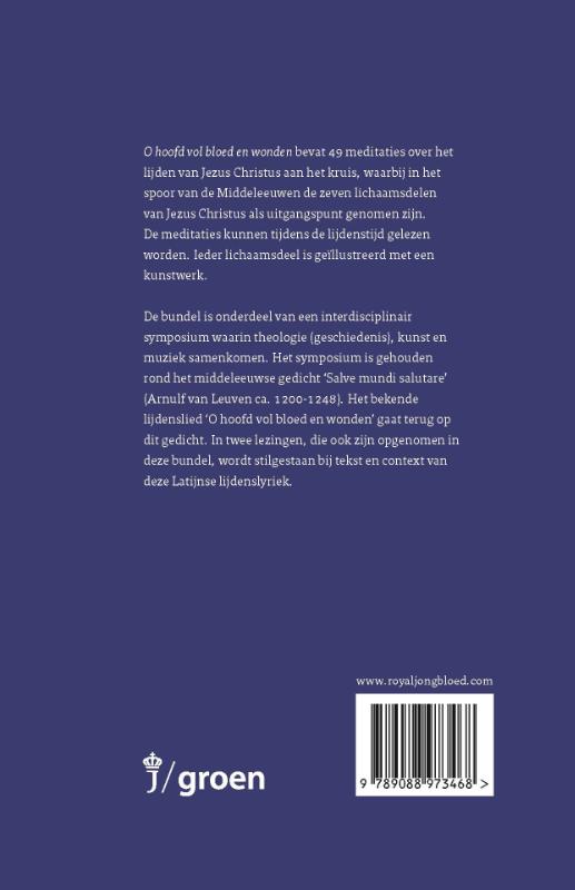 Productafbeelding: achterkant van O hoofd vol bloed en wonden